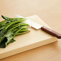 松田美智子の自在道具/いちょうの木のまな板 大