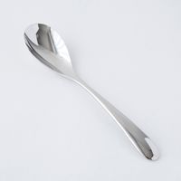 カレー用スプーン カレー賢人 キャリ 1本入