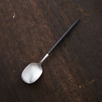 Cutipol/NAU テーブルスプーン ブラック