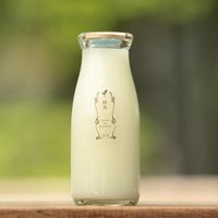 遊 中川/牛乳瓶に入った消臭芳香剤