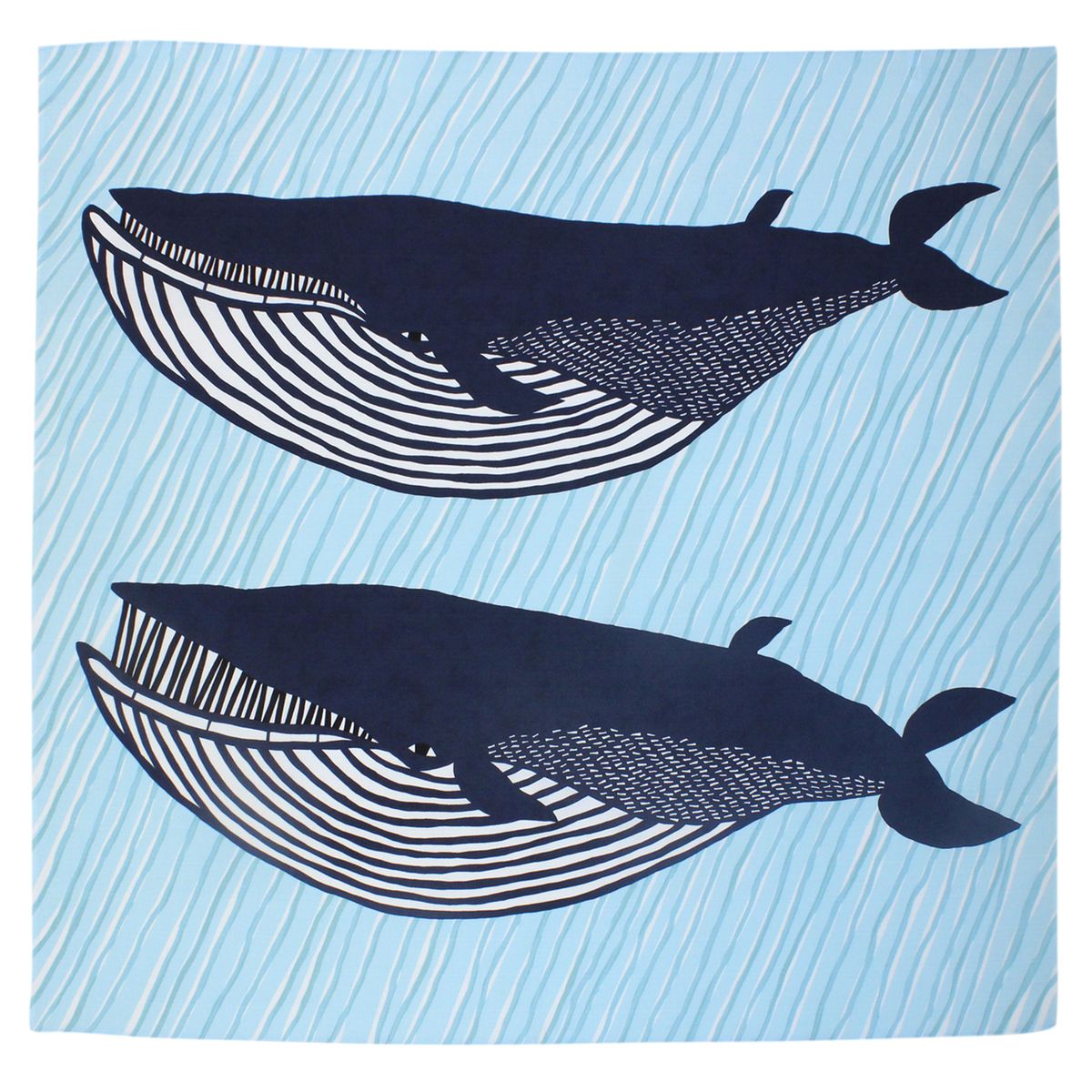 むす美/katakata ナガスクジラ 104cm