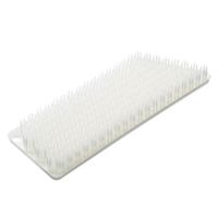 tidy/プラタワ･フォーバス