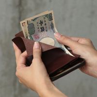 m+/ミニ財布 ZONZO ミネルバリスシオ