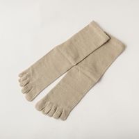 SASAWASHI/メンズ5本指靴下 L