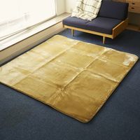 ゼンケン/電磁波をカットできるホットカーペット 2畳相当