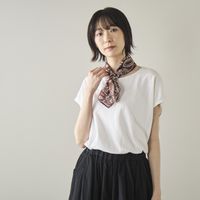 ブラウンペイズリー