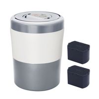 グレイッシュシルバー