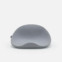 アッシュグレー