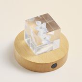 twodo/Light Base 丸 5000K