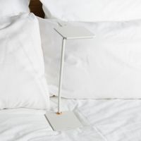 ホワイト/昼白色