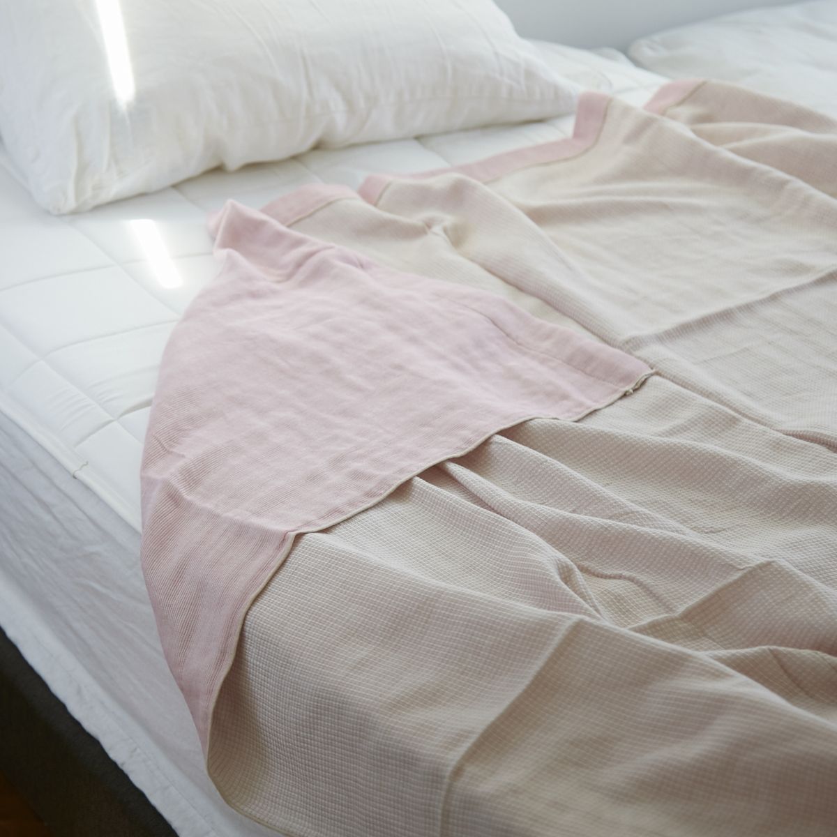 なでしこ（ピンク）