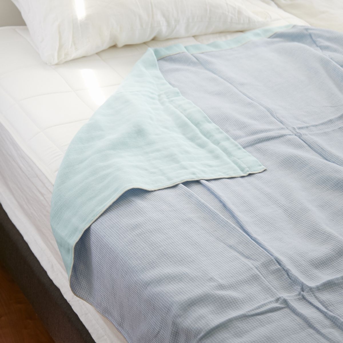 まつば（グリーン）