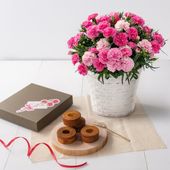 【5/5-10着（着日指定不可）】カーネーション＆スイーツ