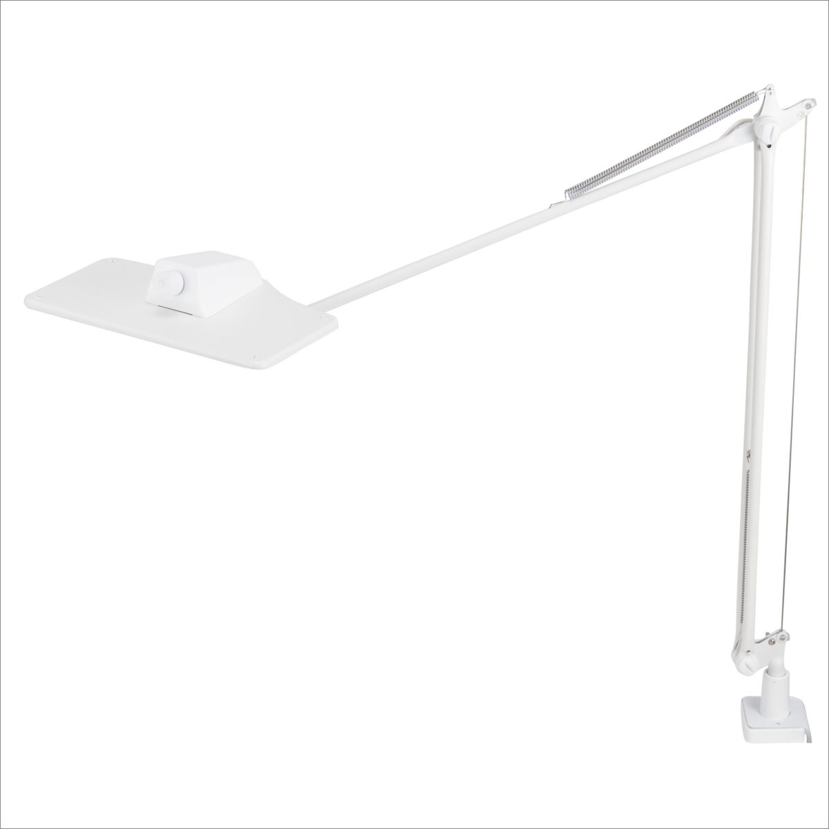 ホワイト/電球色