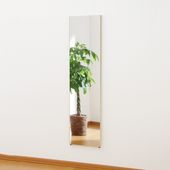 割れない軽量ミラー リフェクス 40×140