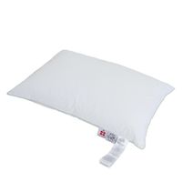 ミディアムロー 50×70cm