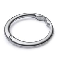 つやなしシルバー