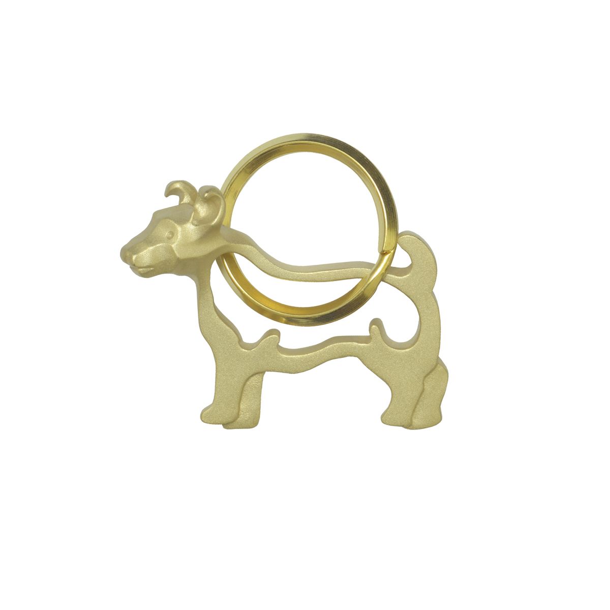 ジャックラッセル