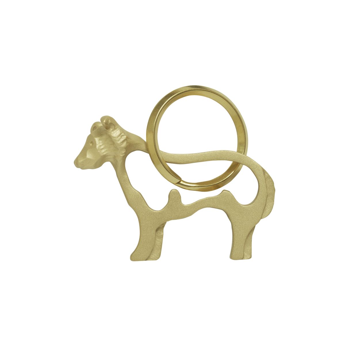 ボーダーコリー