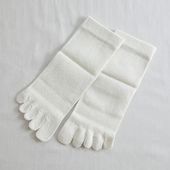 SASAWASHI/レディス5本指靴下