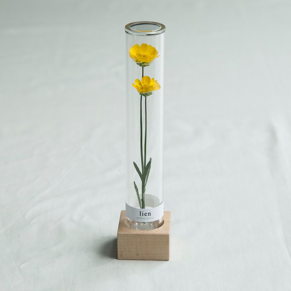 クリサンセマム