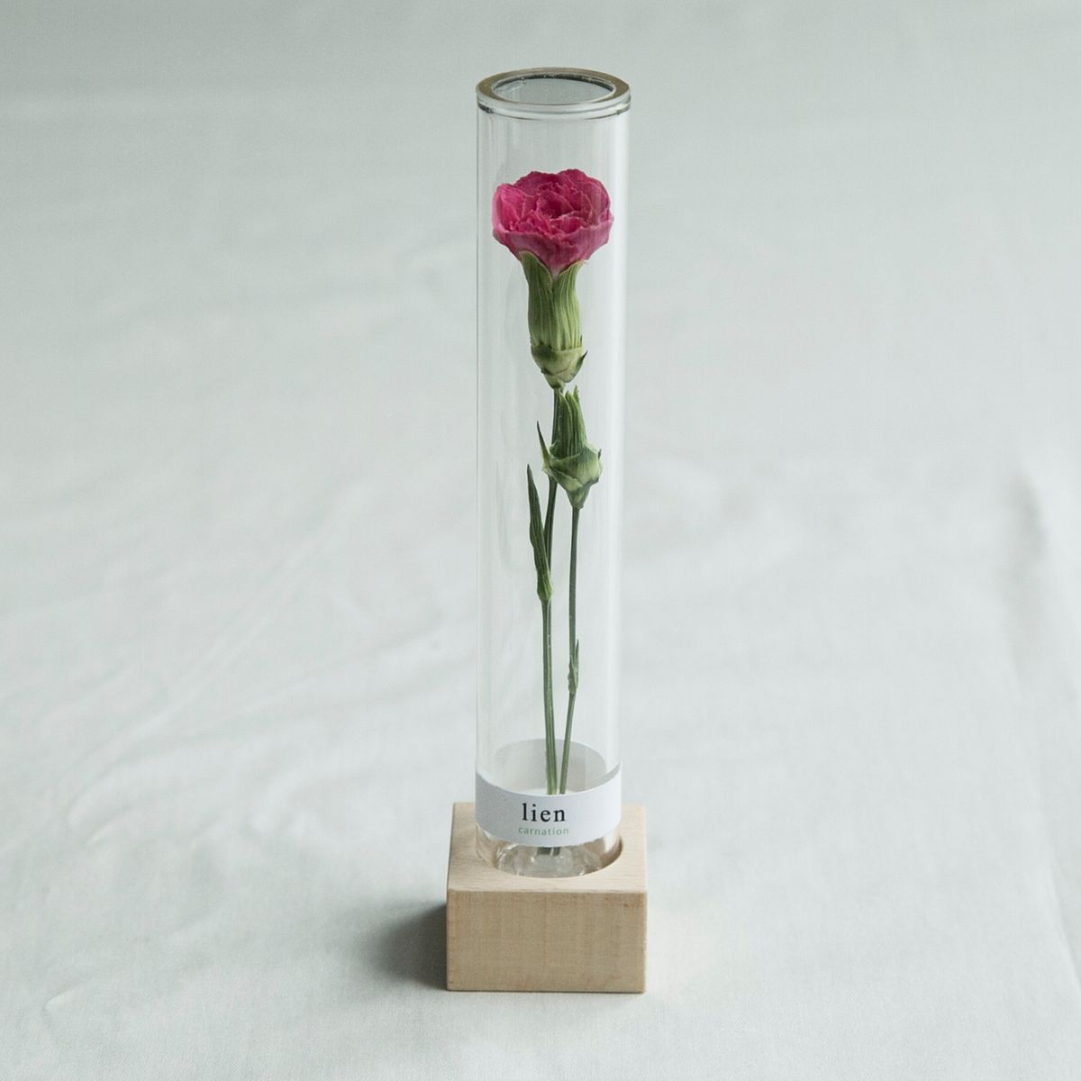 カーネーション