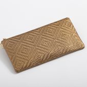 Arukan/パネロ　マルチケース