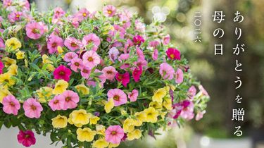 ありがとうを贈る母の日2026